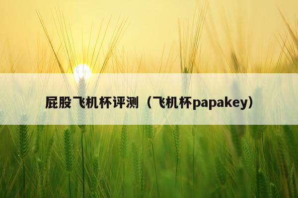 屁股飞机杯评测（飞机杯papakey）