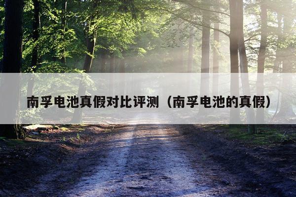 南孚电池真假对比评测（南孚电池的真假）