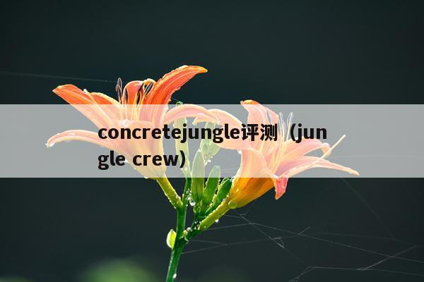 concretejungle评测（jungle crew）