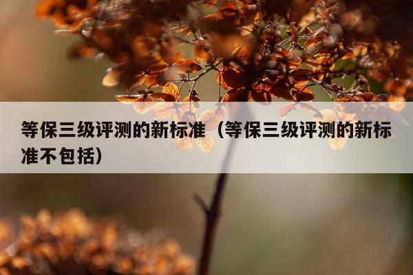 等保三级评测的新标准（等保三级评测的新标准不包括）