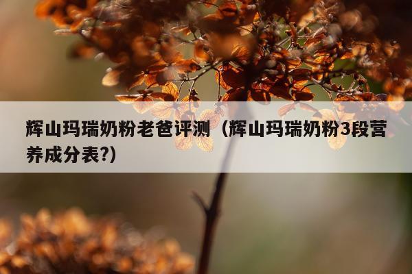 辉山玛瑞奶粉老爸评测（辉山玛瑞奶粉3段营养成分表?）