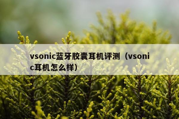 vsonic蓝牙胶囊耳机评测（vsonic耳机怎么样）