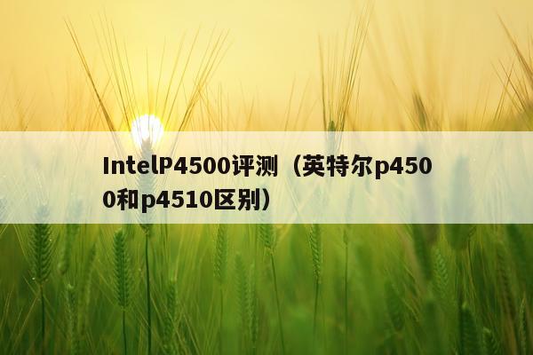 IntelP4500评测（英特尔p4500和p4510区别）
