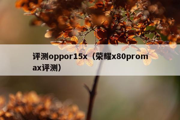 评测oppor15x（荣耀x80promax评测）