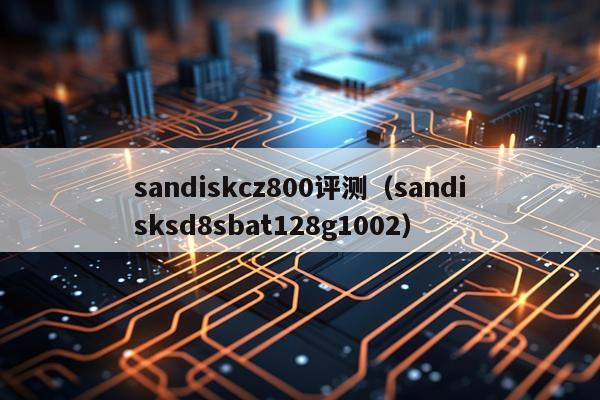 sandiskcz800评测（sandisksd8sbat128g1002）