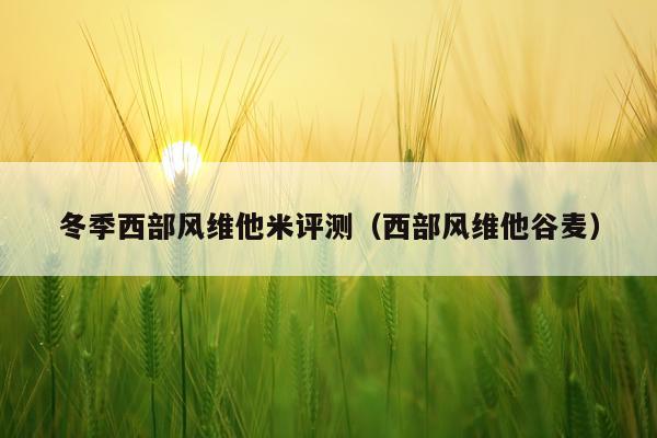 冬季西部风维他米评测（西部风维他谷麦）