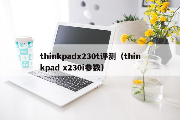 thinkpadx230t评测（thinkpad x230i参数）