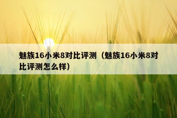 魅族16小米8对比评测（魅族16小米8对比评测怎么样）