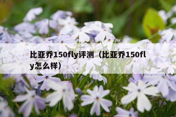 比亚乔150fly评测（比亚乔150fly怎么样）