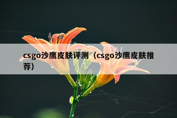 csgo沙鹰皮肤评测（csgo沙鹰皮肤推荐）