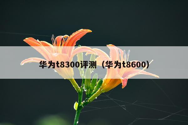 华为t8300评测（华为t8600）