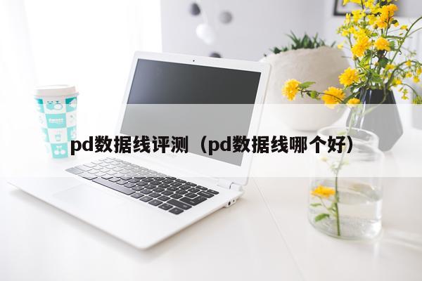pd数据线评测（pd数据线哪个好）