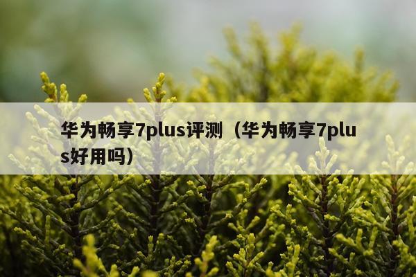 华为畅享7plus评测（华为畅享7plus好用吗）