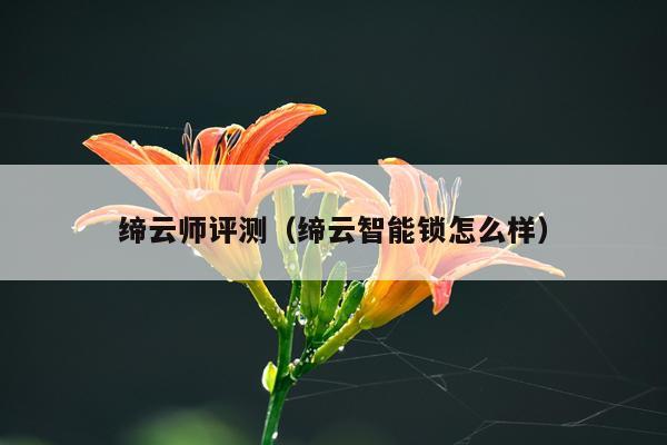 缔云师评测（缔云智能锁怎么样）