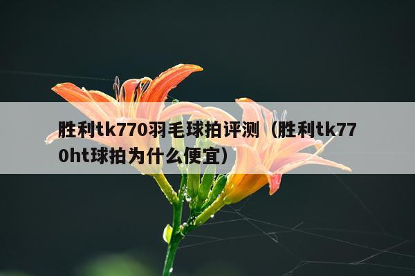 胜利tk770羽毛球拍评测（胜利tk770ht球拍为什么便宜）