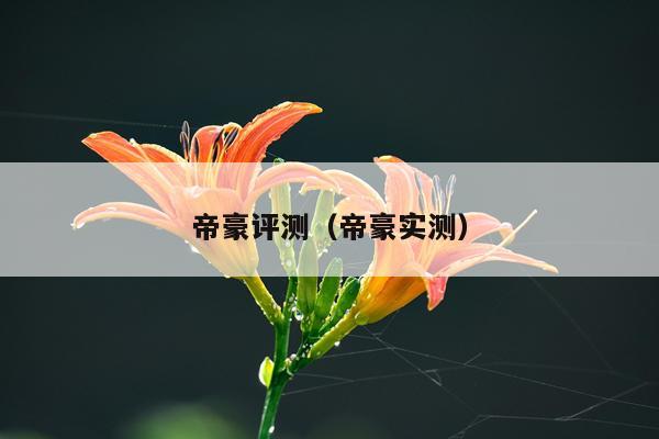 帝豪评测（帝豪实测）