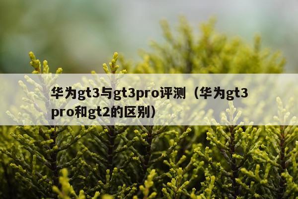 华为gt3与gt3pro评测（华为gt3pro和gt2的区别）