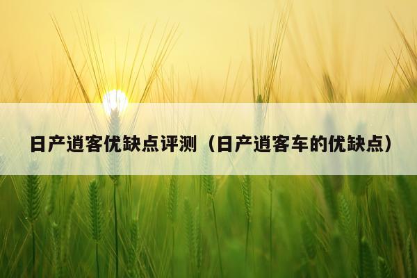 日产逍客优缺点评测（日产逍客车的优缺点）