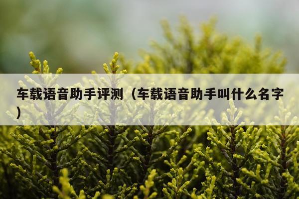 车载语音助手评测（车载语音助手叫什么名字）