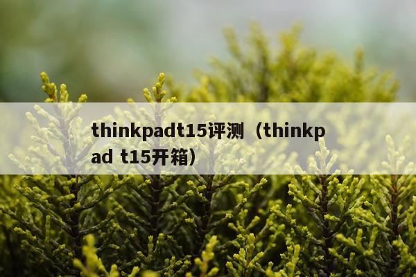 thinkpadt15评测（thinkpad t15开箱）