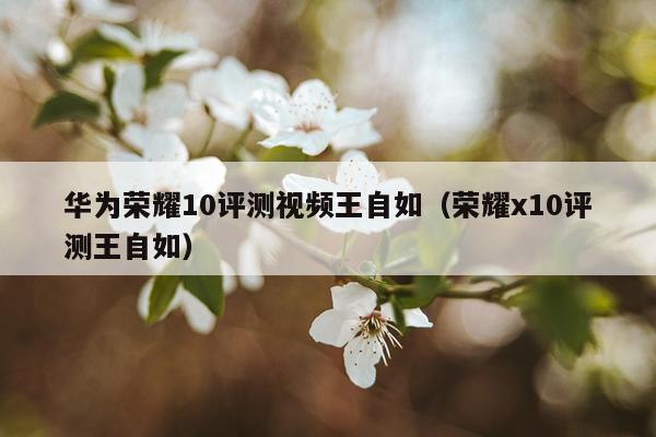 华为荣耀10评测视频王自如（荣耀x10评测王自如）