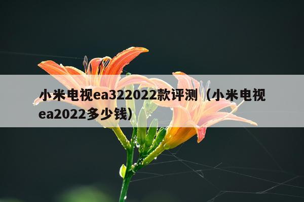 小米电视ea322022款评测（小米电视ea2022多少钱）