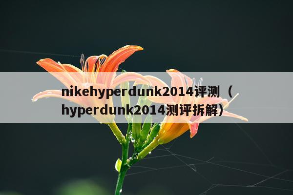 nikehyperdunk2014评测（hyperdunk2014测评拆解）