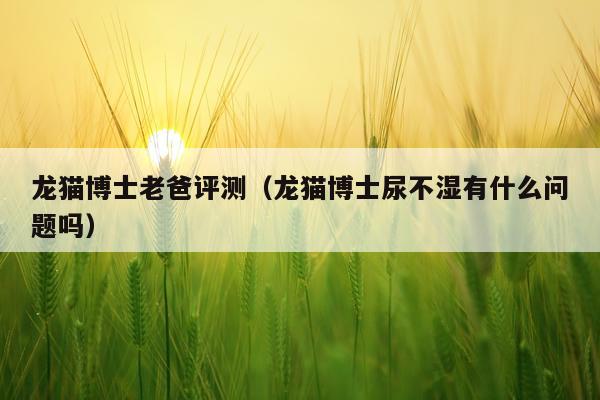 龙猫博士老爸评测（龙猫博士尿不湿有什么问题吗）