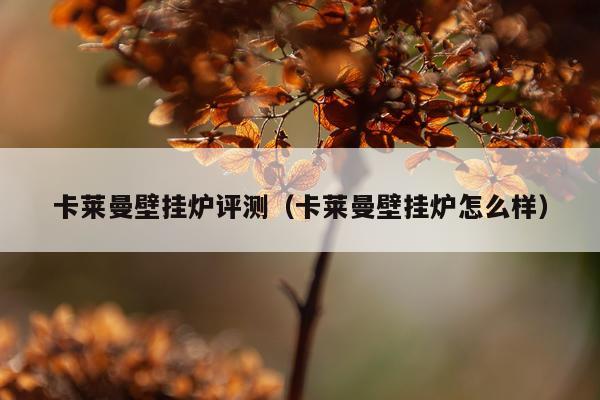 卡莱曼壁挂炉评测（卡莱曼壁挂炉怎么样）