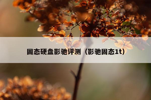 固态硬盘影驰评测（影驰固态1t）