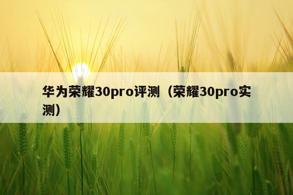 华为荣耀30pro评测（荣耀30pro实测）