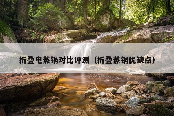 折叠电蒸锅对比评测（折叠蒸锅优缺点）