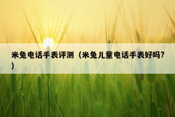 米兔电话手表评测（米兔儿童电话手表好吗?）