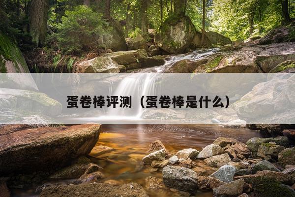 蛋卷棒评测（蛋卷棒是什么）