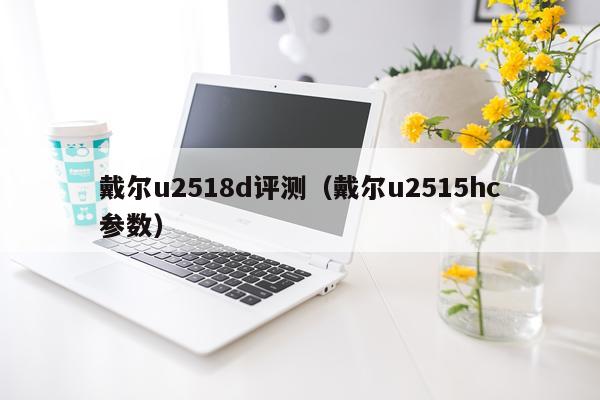 戴尔u2518d评测（戴尔u2515hc参数）