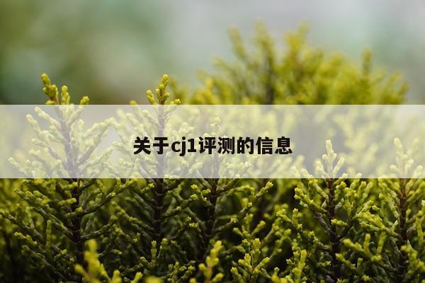 关于cj1评测的信息