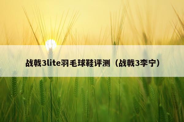 战戟3lite羽毛球鞋评测（战戟3李宁）