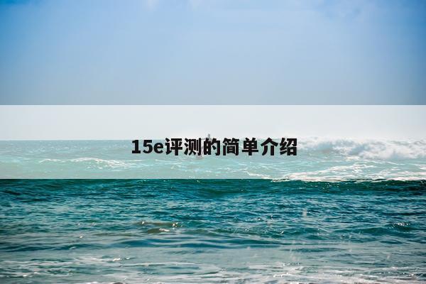 15e评测的简单介绍