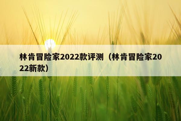 林肯冒险家2022款评测（林肯冒险家2022新款）
