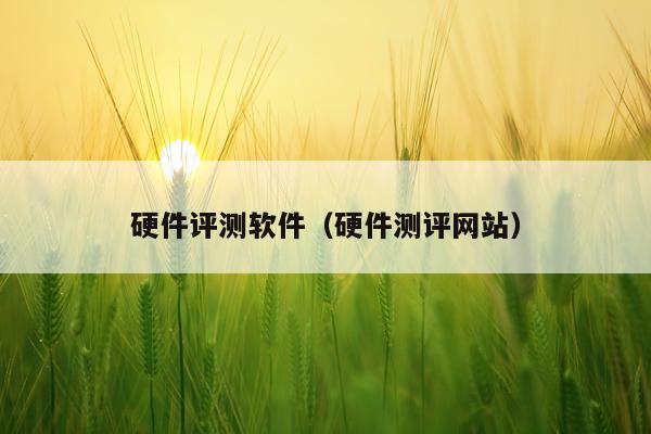硬件评测软件（硬件测评网站）