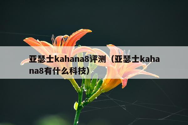 亚瑟士kahana8评测（亚瑟士kahana8有什么科技）