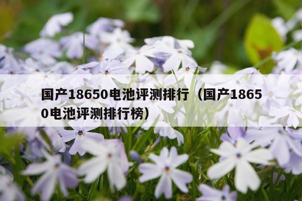 国产18650电池评测排行（国产18650电池评测排行榜）