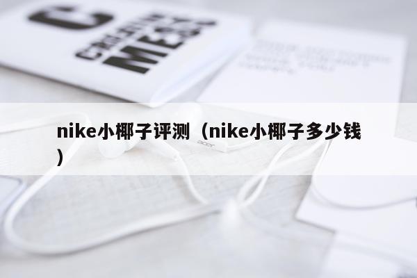 nike小椰子评测（nike小椰子多少钱）