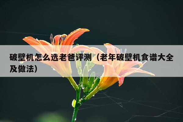 破壁机怎么选老爸评测（老年破壁机食谱大全及做法）