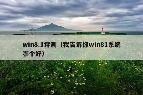 win8.1评测（我告诉你win81系统哪个好）