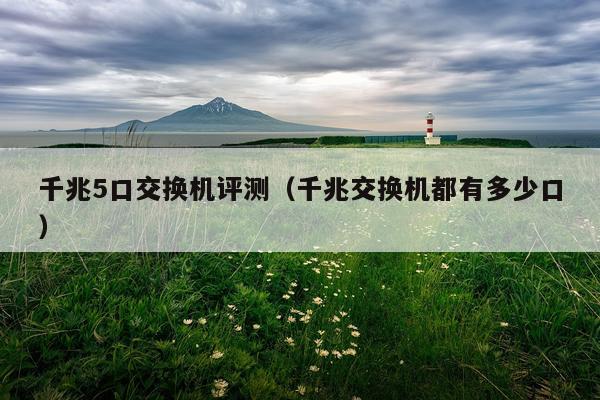 千兆5口交换机评测（千兆交换机都有多少口）