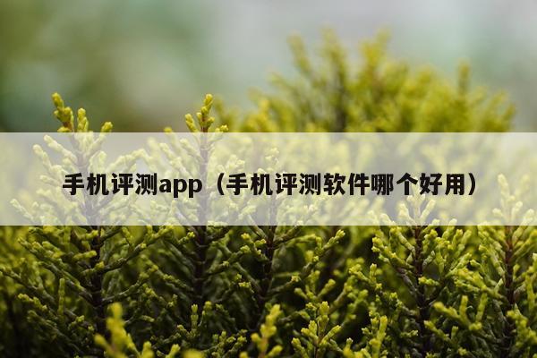 手机评测app（手机评测软件哪个好用）