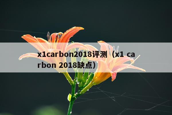 x1carbon2018评测（x1 carbon 2018缺点）