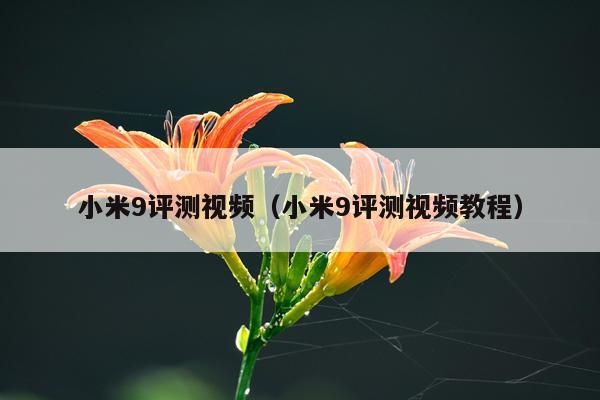小米9评测视频（小米9评测视频教程）