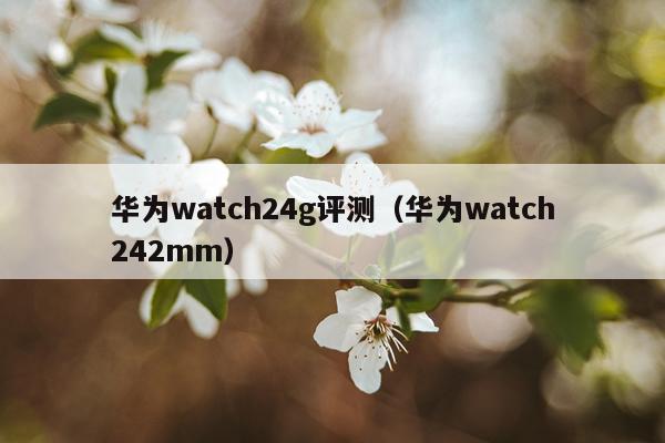 华为watch24g评测（华为watch242mm）
